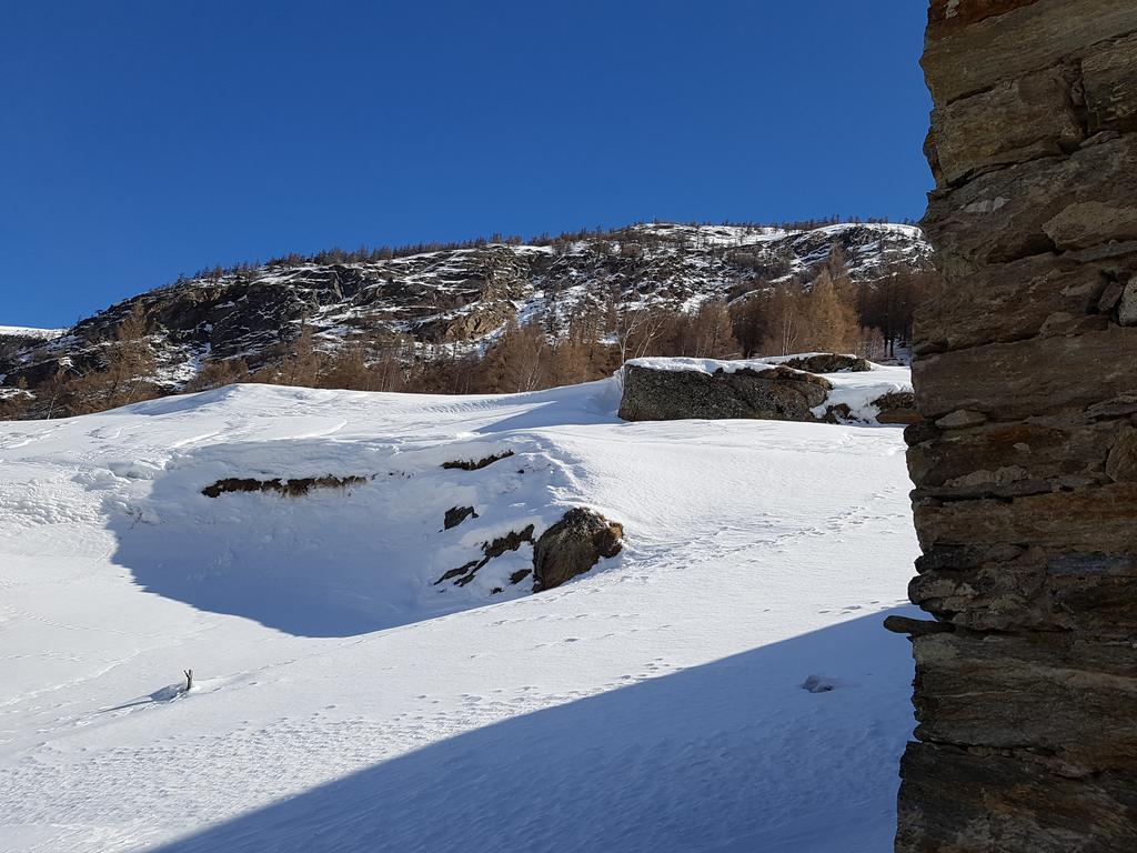 Monte Rosa Lägenhet Saas-Grund Exteriör bild