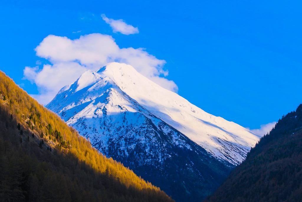 Monte Rosa Lägenhet Saas-Grund Exteriör bild